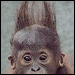avatar_Denigg