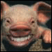 avatar_Женёк