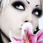 avatar_elvira_live
