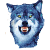 avatar_AleksStav