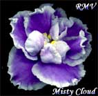 avatar_Misty Cloud