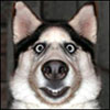 avatar_maks1807